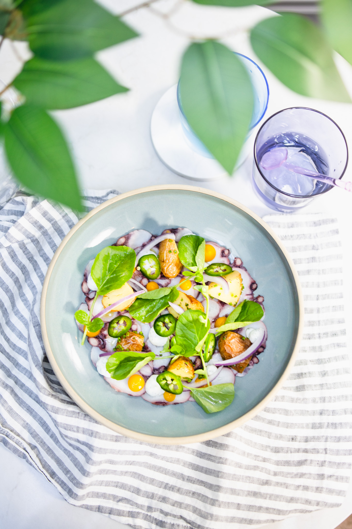 Octopus Carpaccio